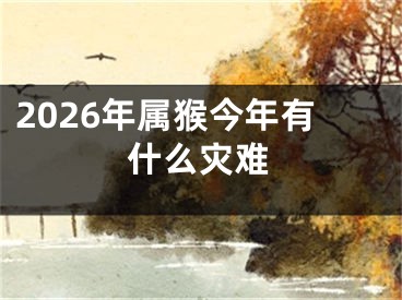 2026年属猴今年有什么灾难