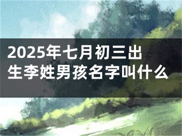 2025年七月初三出生李姓男孩名字叫什么