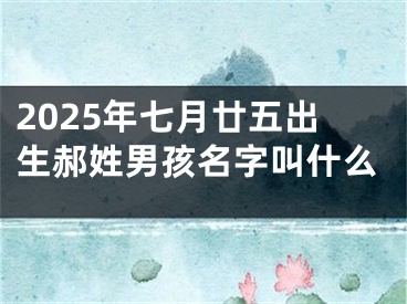 2025年七月廿五出生郝姓男孩名字叫什么