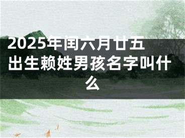 2025年闰六月廿五出生赖姓男孩名字叫什么