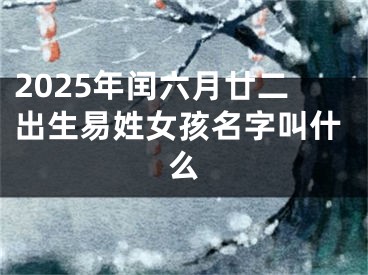 2025年闰六月廿二出生易姓女孩名字叫什么