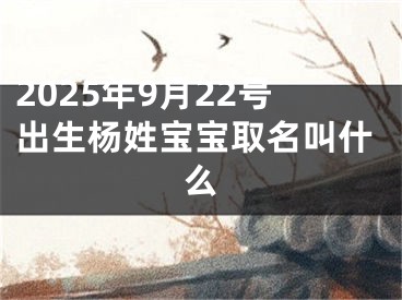 2025年9月22号出生杨姓宝宝取名叫什么