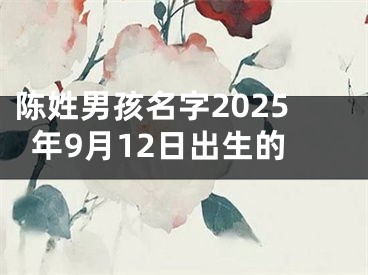陈姓男孩名字2025年9月12日出生的