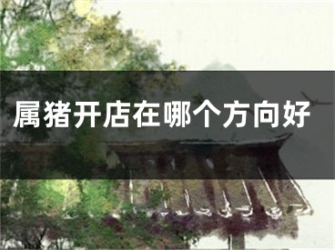 属猪开店在哪个方向好