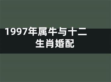 1997年属牛与十二生肖婚配