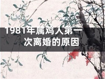 1981年属鸡人第一次离婚的原因
