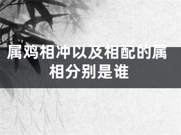 属鸡相冲以及相配的属相分别是谁