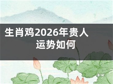 生肖鸡2026年贵人运势如何