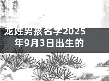 龙姓男孩名字2025年9月3日出生的