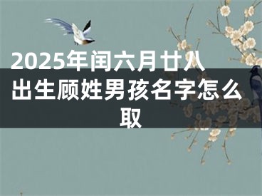 2025年闰六月廿八出生顾姓男孩名字怎么取