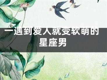一遇到爱人就变软萌的星座男