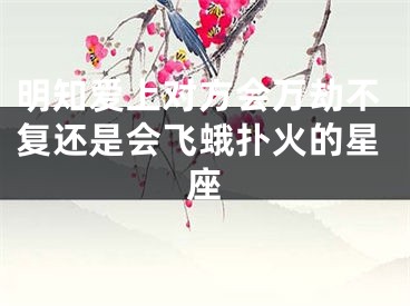 明知爱上对方会万劫不复还是会飞蛾扑火的星座