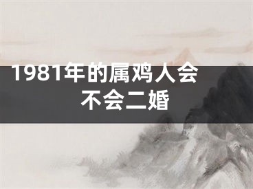 1981年的属鸡人会不会二婚