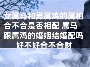 女属马和男属鸡的属相合不合是否相配 属马跟属鸡的婚姻结婚配吗好不好合不合财