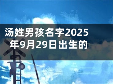 汤姓男孩名字2025年9月29日出生的