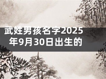 武姓男孩名字2025年9月30日出生的