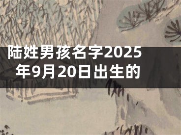 陆姓男孩名字2025年9月20日出生的