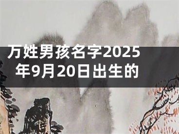 万姓男孩名字2025年9月20日出生的