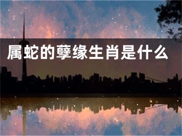 属蛇的孽缘生肖是什么 