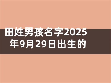 田姓男孩名字2025年9月29日出生的