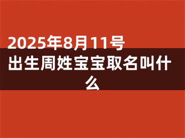 2025年8月11号出生周姓宝宝取名叫什么