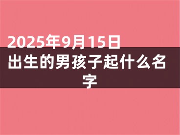 2025年9月15日出生的男孩子起什么名字