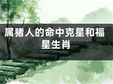 属猪人的命中克星和福星生肖