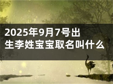 2025年9月7号出生李姓宝宝取名叫什么