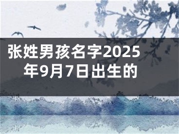 张姓男孩名字2025年9月7日出生的