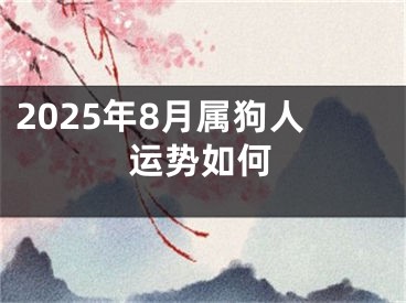 2025年8月属狗人运势如何