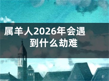 属羊人2026年会遇到什么劫难