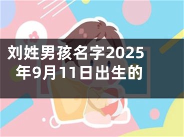 刘姓男孩名字2025年9月11日出生的
