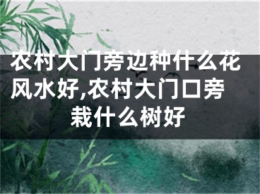 农村大门旁边种什么花风水好,农村大门口旁栽什么树好