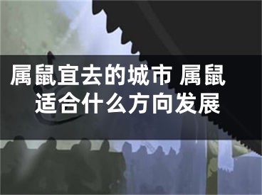 属鼠宜去的城市 属鼠适合什么方向发展