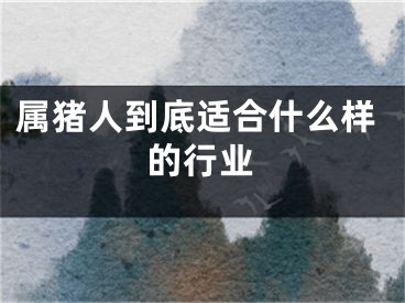 属猪人到底适合什么样的行业