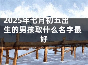 2025年七月初五出生的男孩取什么名字最好