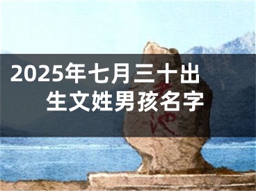 2025年七月三十出生文姓男孩名字