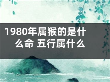 1980年属猴的是什么命 五行属什么