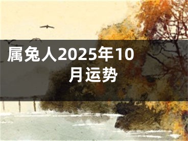 属兔人2025年10月运势