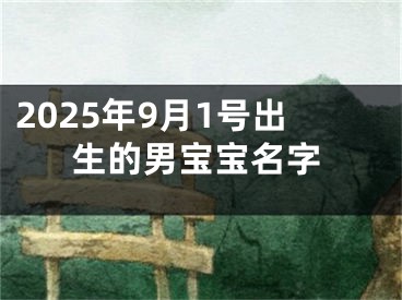 2025年9月1号出生的男宝宝名字