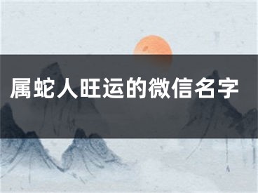 属蛇人旺运的微信名字