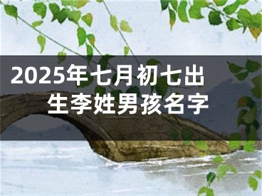 2025年七月初七出生李姓男孩名字