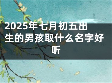 2025年七月初五出生的男孩取什么名字好听