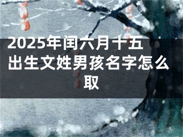 2025年闰六月十五出生文姓男孩名字怎么取