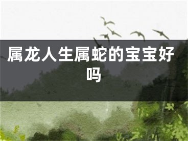 属龙人生属蛇的宝宝好吗