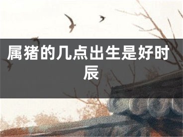 属猪的几点出生是好时辰