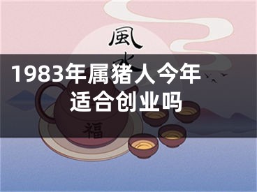1983年属猪人今年适合创业吗