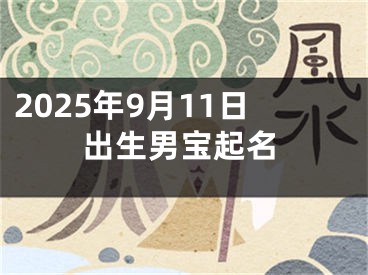 2025年9月11日出生男宝起名