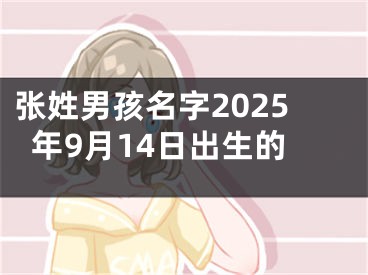 张姓男孩名字2025年9月14日出生的