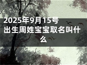 2025年9月15号出生周姓宝宝取名叫什么